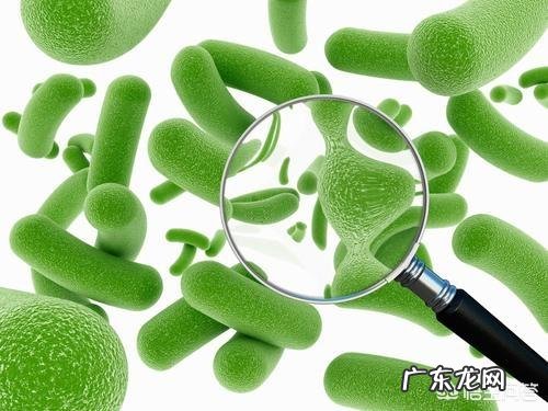 有什么笑尿的冷笑话?