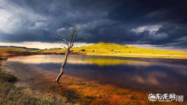 什么样的文章才可以叫做美文？