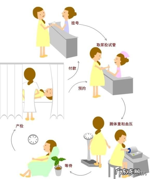 发现老婆怀孕了，什么时候去做检查好？