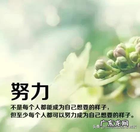 如何根据孩子性格做不同的教育,先从哪一块开始实施?