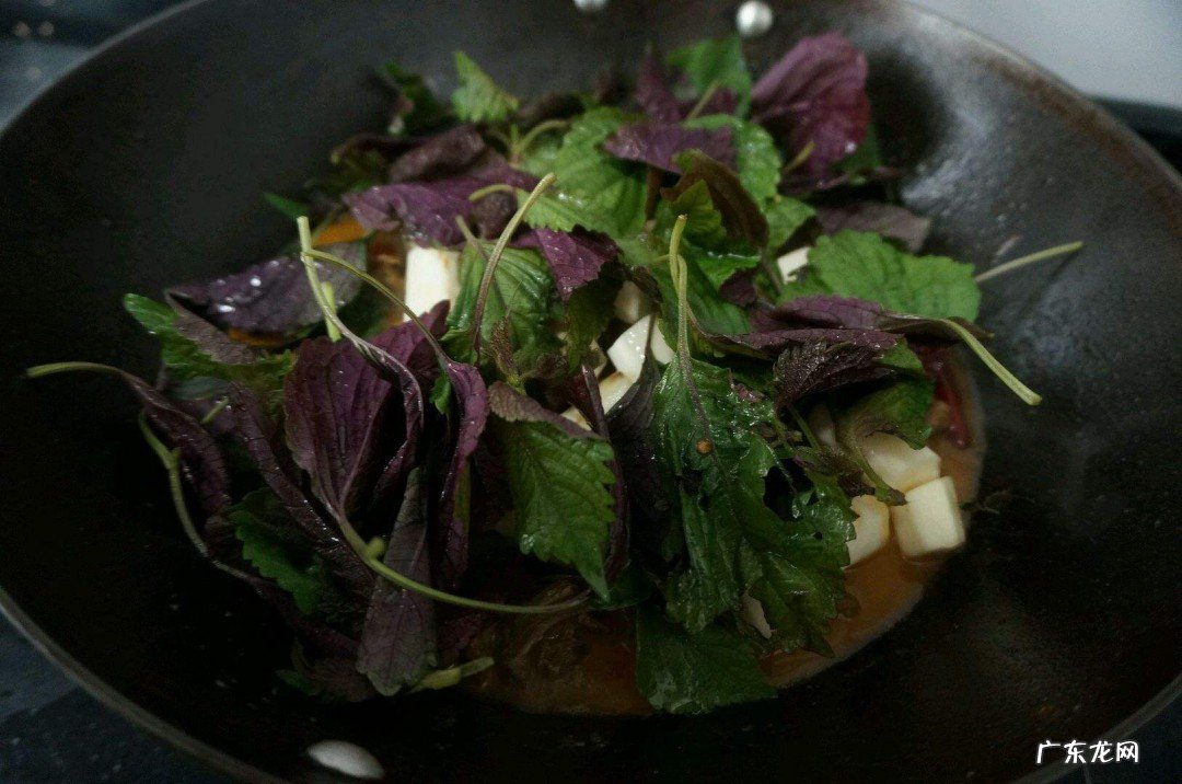 紫苏鸭子怎么做