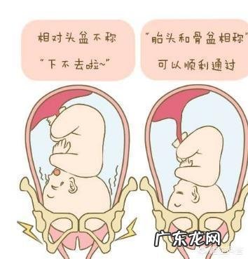 孕妇正常多少周入盆?快到8个月了,检查还没入盆,该怎么办?