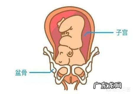 孕妇正常多少周入盆?快到8个月了,检查还没入盆,该怎么办?