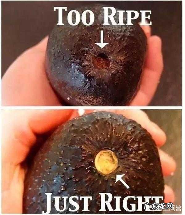 牛油果应该怎么吃?