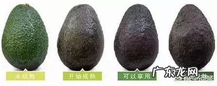 牛油果应该怎么吃？