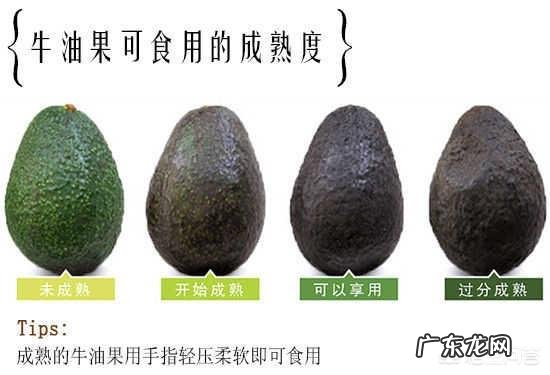 牛油果应该怎么吃?