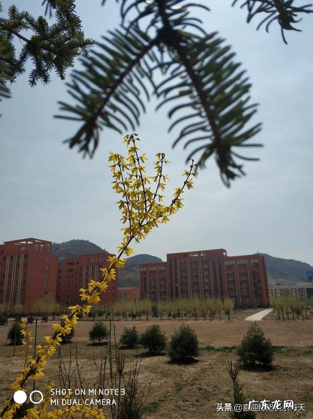 如果自己是第三者,该如何自处?