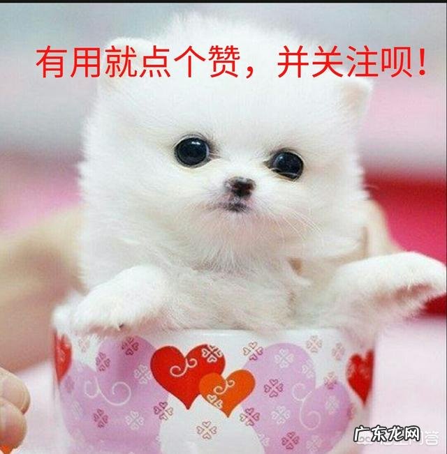 现在适合换工作吗?