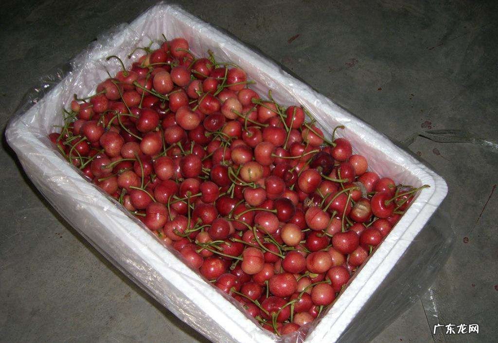 邮寄樱桃的保鲜方法