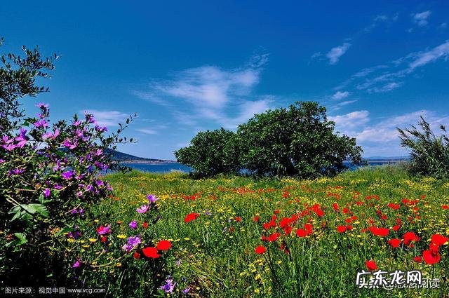 为什么立春挤红布?