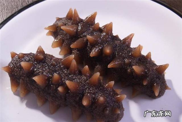 海参什么样的人不适合吃