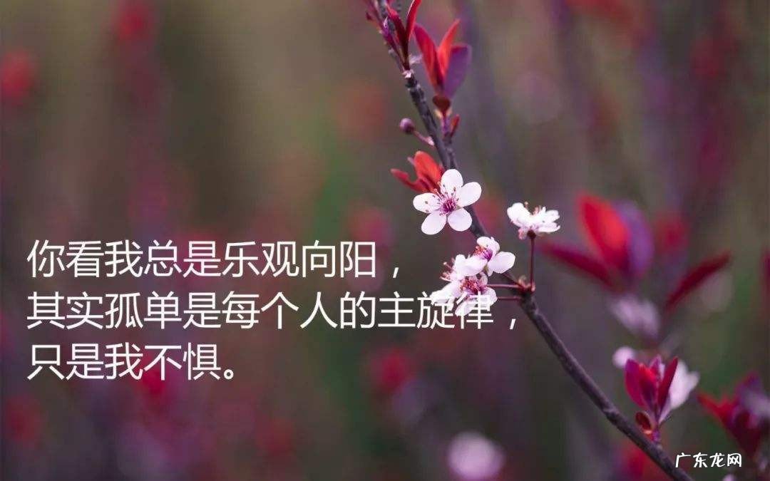 人生感言适合发朋友圈