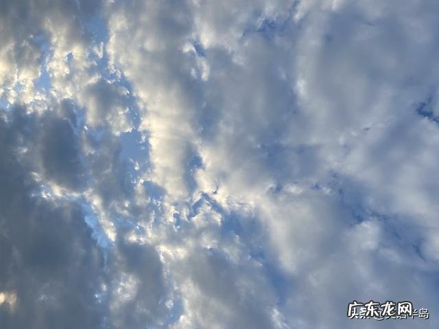 你觉得现在还有必要去美国留学吗？