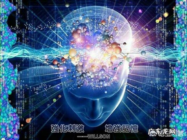 如何才能提高记忆力,吃什么会有帮助?