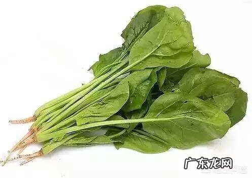 吃什么蔬菜最补血?