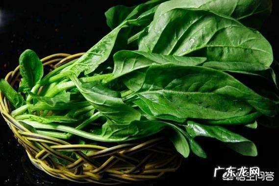 吃什么蔬菜最补血?