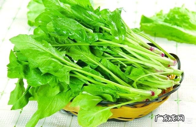 吃什么蔬菜最补血?
