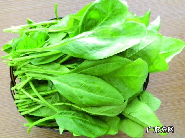 吃什么蔬菜最补血?