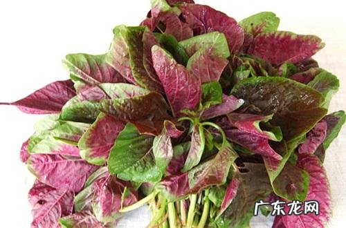 吃什么蔬菜最补血?