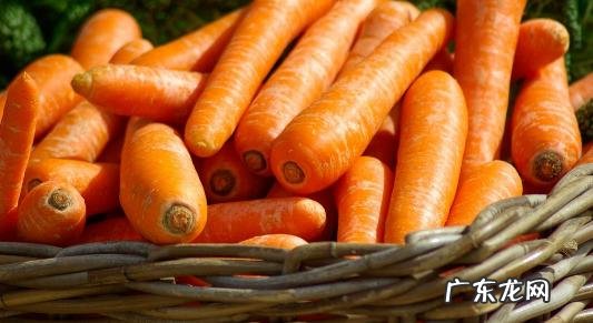 吃什么蔬菜最补血?