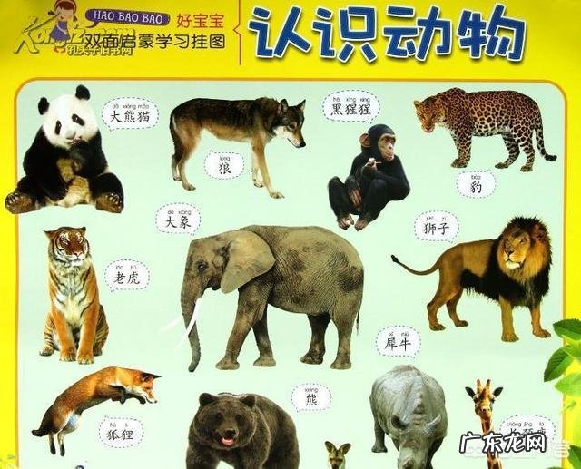 儿童早教玩具买哪种比较好?