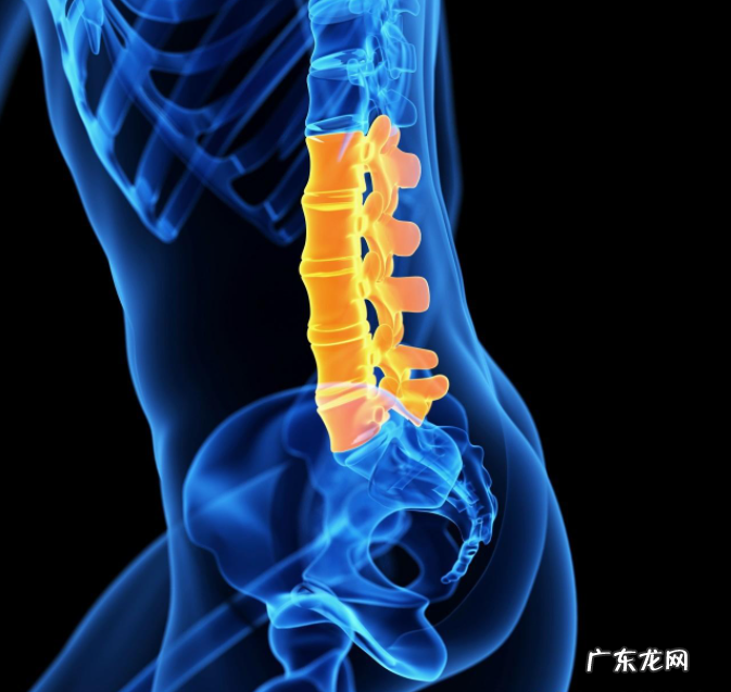 你经常感到弯腰会酸痛吗?几个小动作帮你揪出背后紧绷的肌肉
