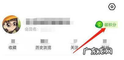 闲鱼碳积分有什么作用?怎样获得碳积分?