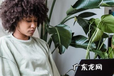 淘宝补单的策略是什么?如何正确补单?