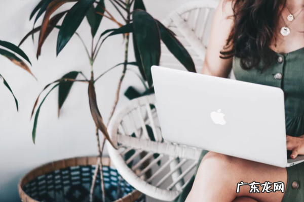 wish怎么提高店铺排名?wish排名提升方法