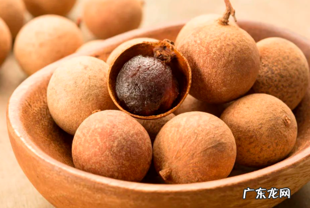 立秋后煮粥加一物,湿气、病气一扫而光!还能防癌、排出隔天便,早餐吃精神一整天