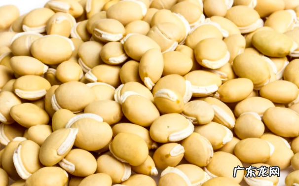 立秋后煮粥加一物,湿气、病气一扫而光!还能防癌、排出隔天便,早餐吃精神一整天