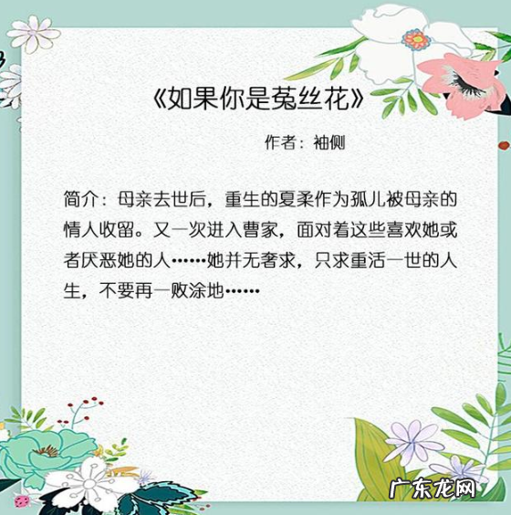 五本文笔精湛的言情小说书推荐