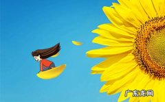 精神健康抗衰弱