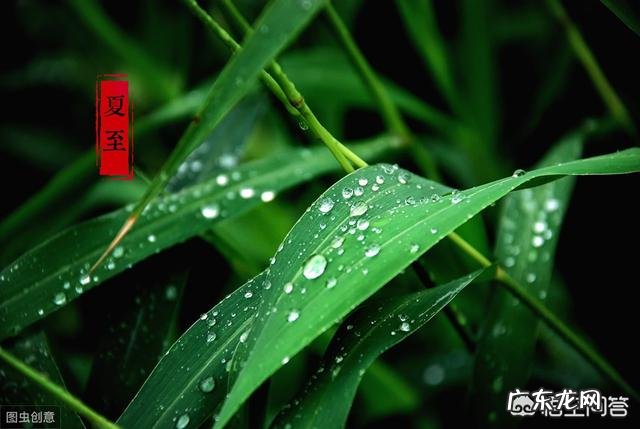 明天就是24节气夏至,夏至对吃有什么讲究?