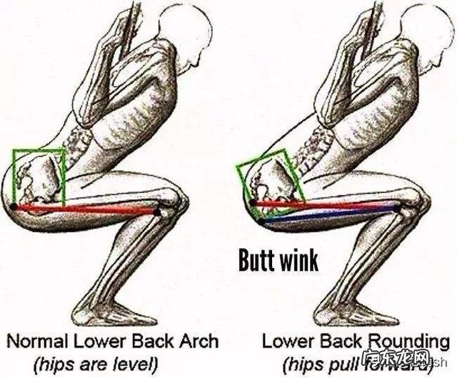 对于健身新手,应该如何系统的学习健身知识,以至于一段时间之后,可以对自己和健身有清晰明确的认知?
