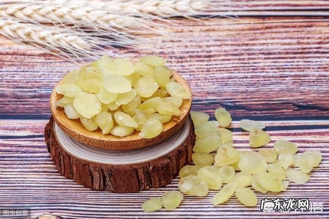 皂角树果实为什么这么贵?