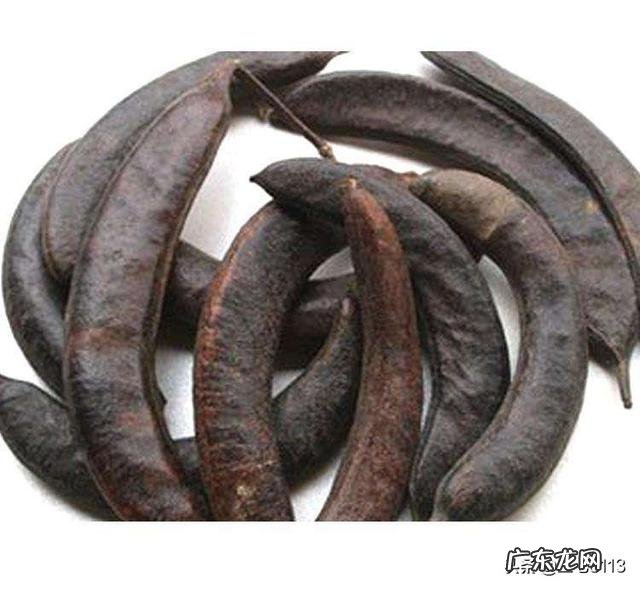 皂角树果实为什么这么贵?