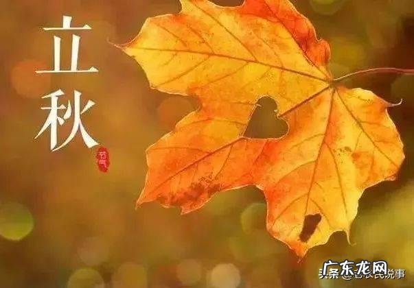 今年立秋几时几分,立秋农村有何习俗,立秋过后,天气还会炎热吗?