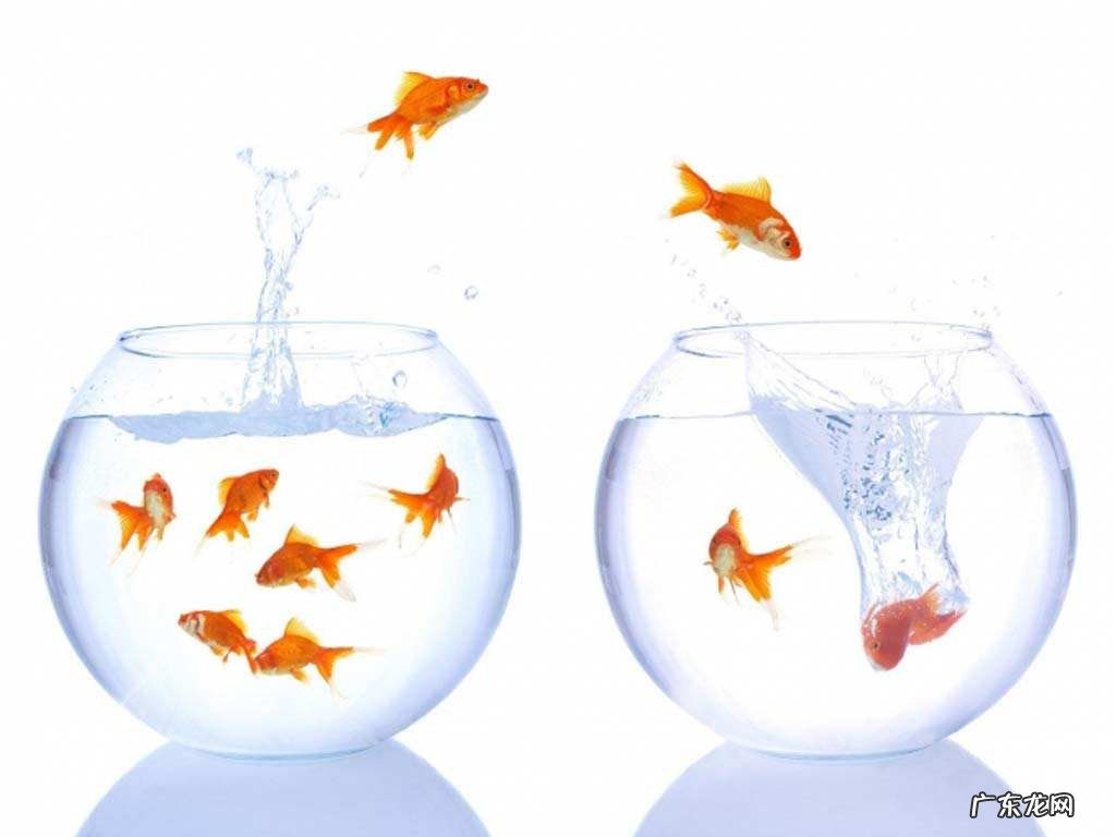 前面有水后面靠山的风水 背后有靠山的风水