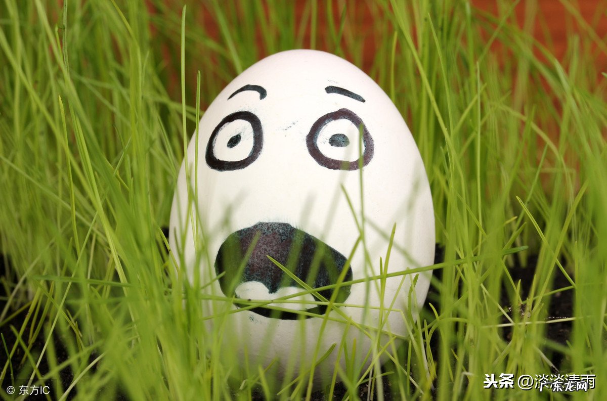 有趣的歇后语欣赏 画蛇添足 画蛇添足歇后语答案