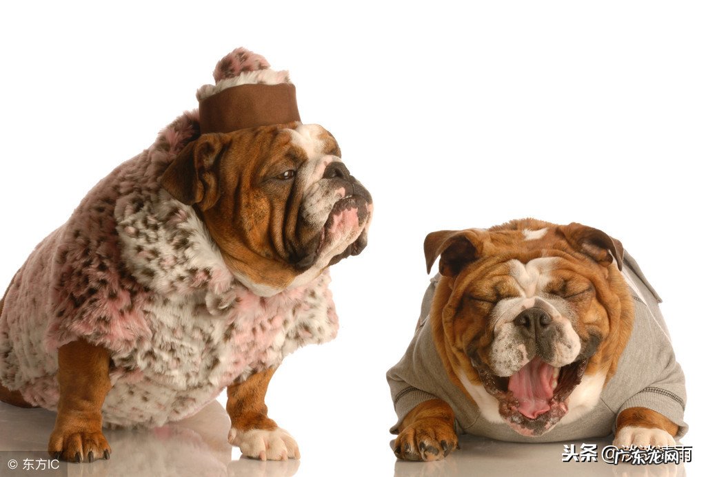 有趣的歇后语欣赏 画蛇添足 画蛇添足歇后语答案