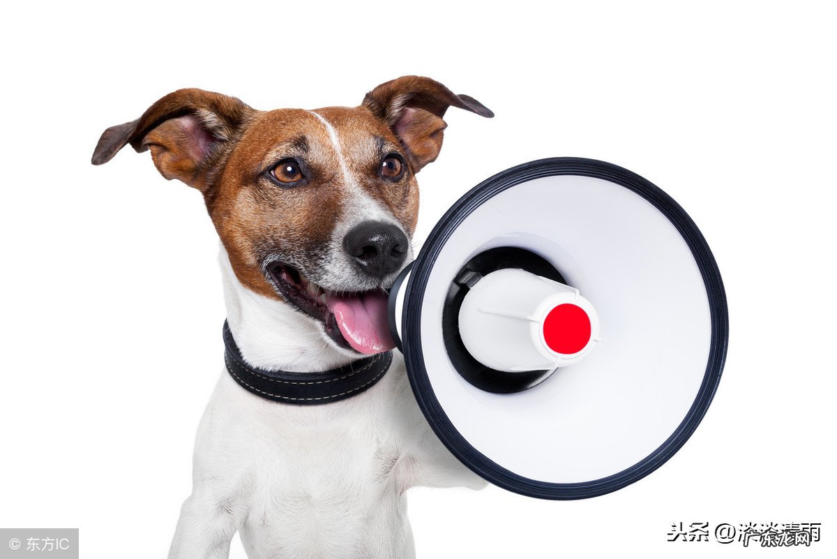 有趣的歇后语欣赏 画蛇添足 画蛇添足歇后语答案