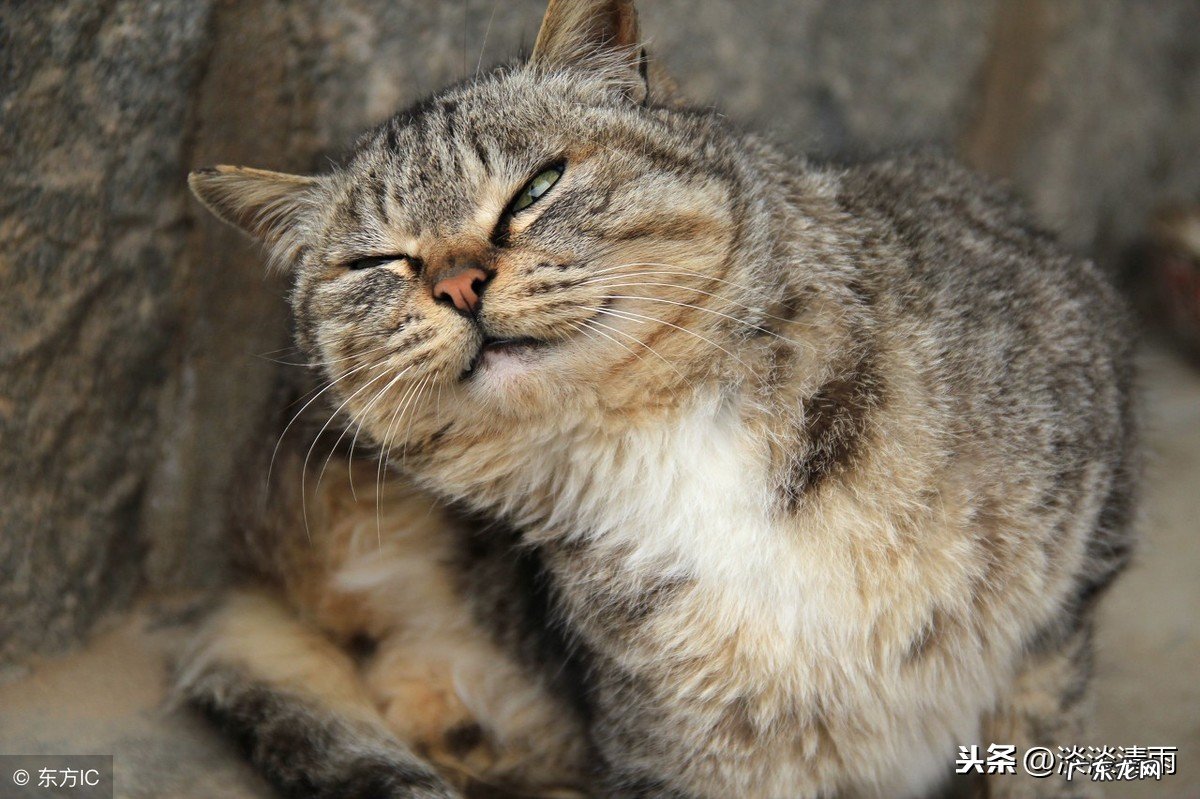 有趣的歇后语欣赏 画蛇添足 画蛇添足歇后语答案