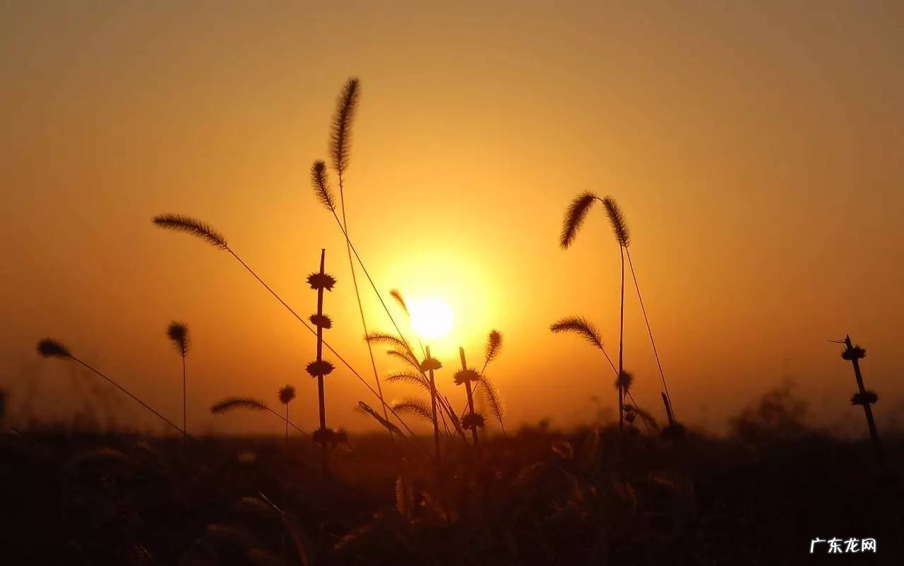 家人出车祸 家里人出车祸阳宅风水