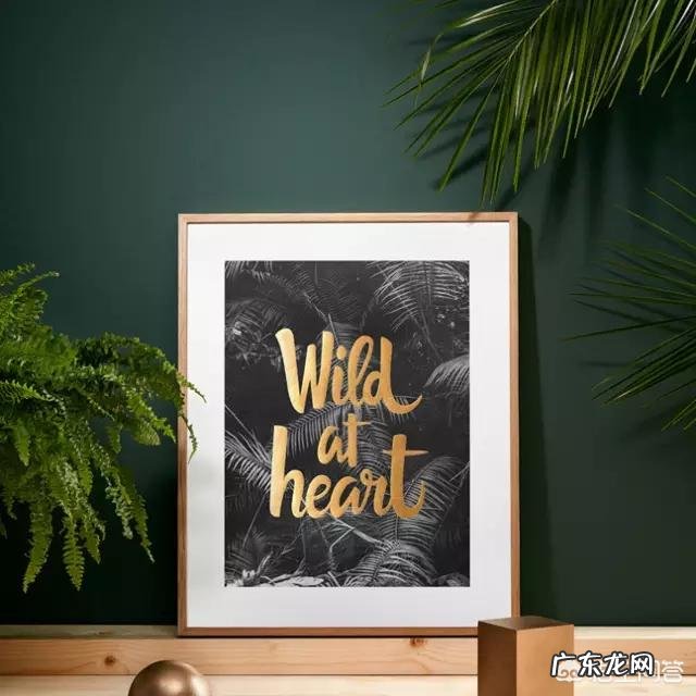 玄关装饰画挂什么最好?