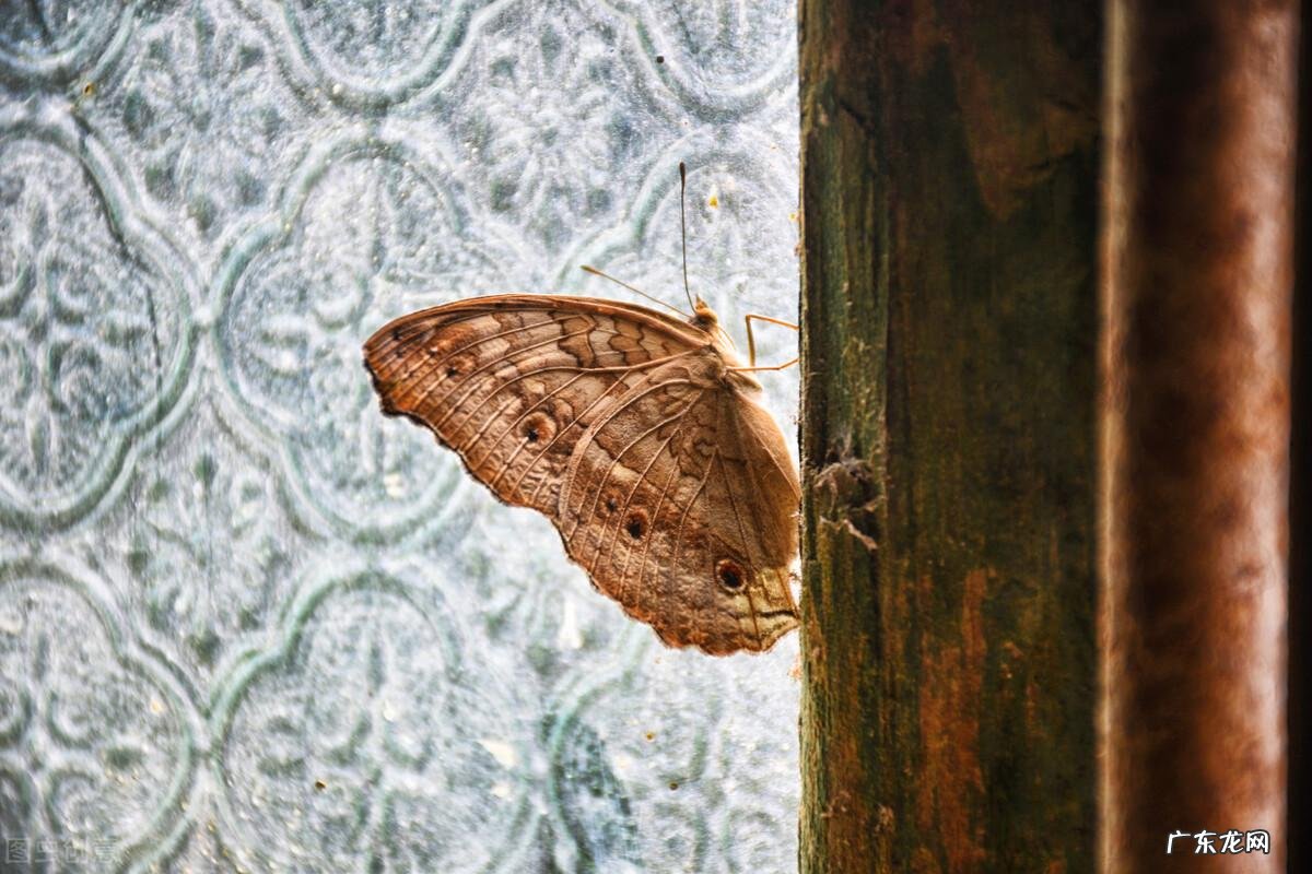 旧沙发图片 旧沙发