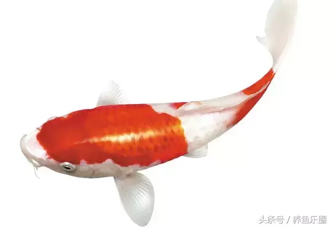 圆形门风水好吗 风水前圆后方什么意思