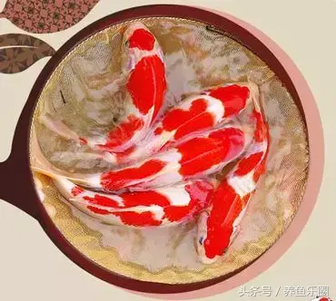 圆形门风水好吗 风水前圆后方什么意思