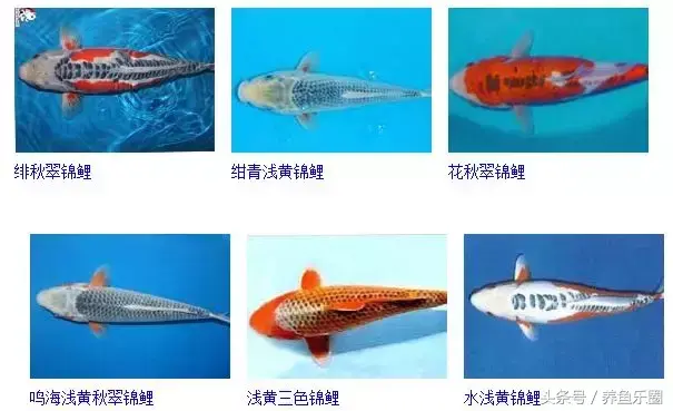 圆形门风水好吗 风水前圆后方什么意思