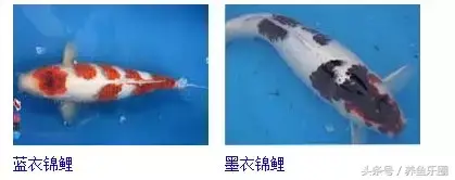 圆形门风水好吗 风水前圆后方什么意思